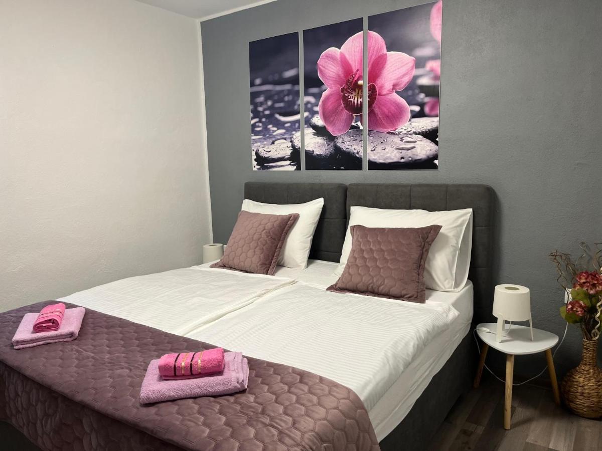Apartmani Milokanovic フンタナ エクステリア 写真