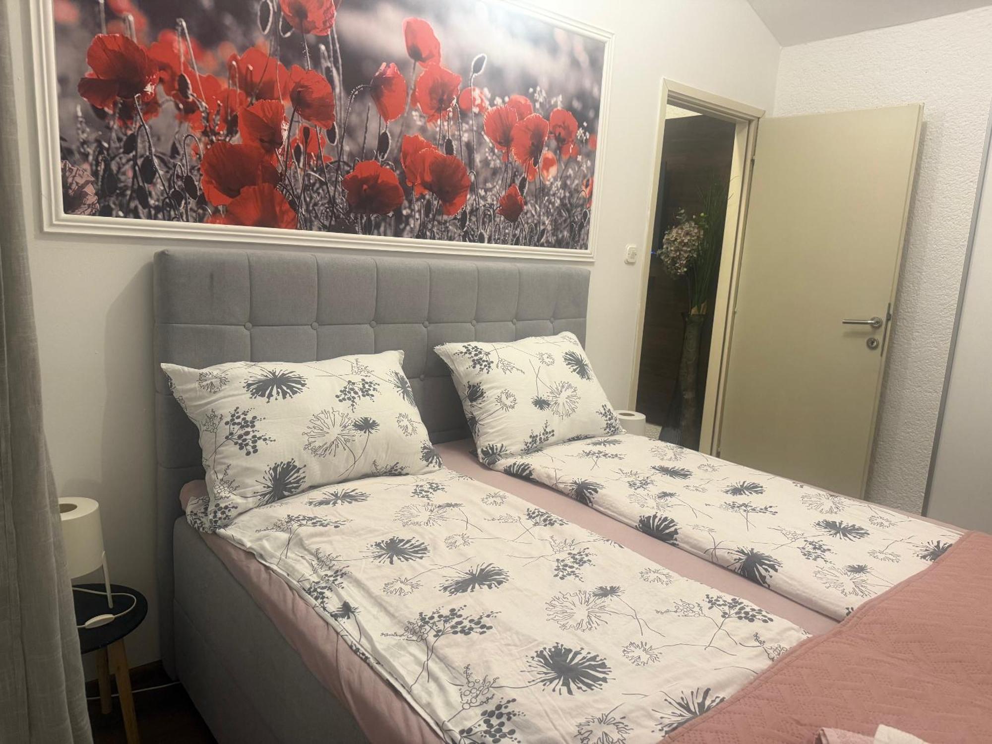 Apartmani Milokanovic フンタナ エクステリア 写真