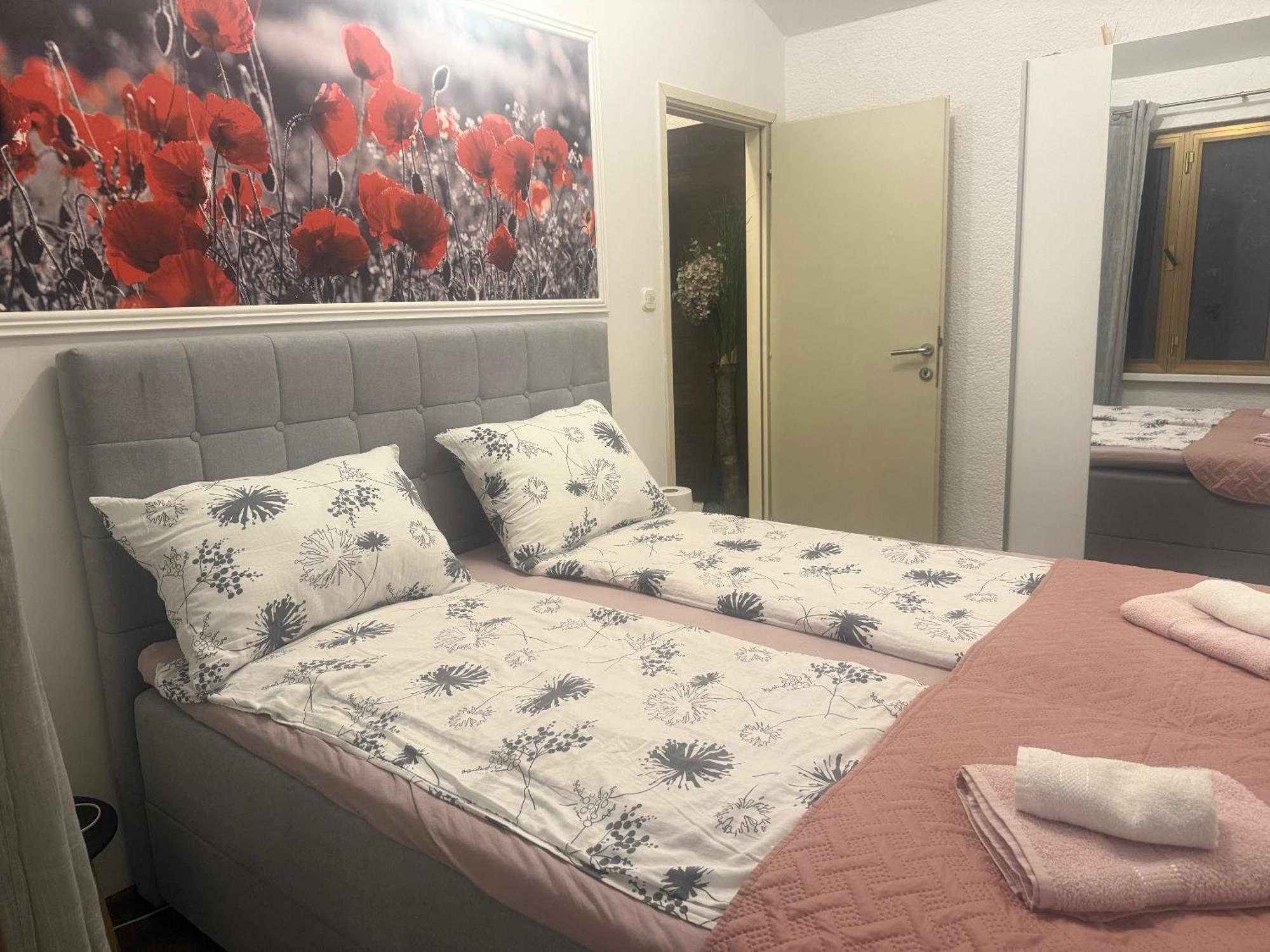 Apartmani Milokanovic フンタナ エクステリア 写真
